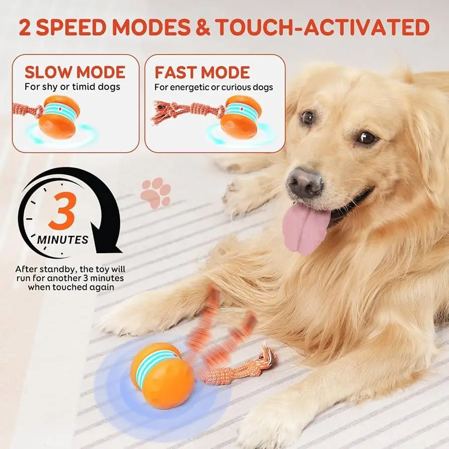 Interactive Dog Toys, Random Path Electric Automatic Moving and Rolling Dogs Toy with Rope for Small Medium Large Dogs