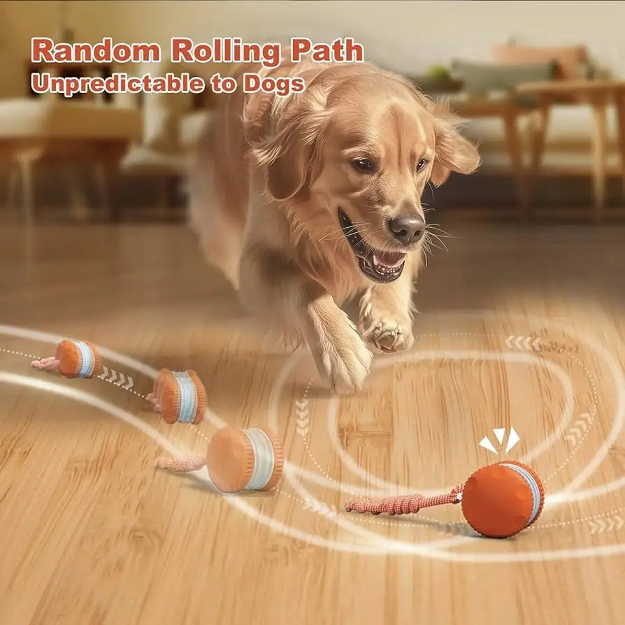 Interactive Dog Toys, Random Path Electric Automatic Moving and Rolling Dogs Toy with Rope for Small Medium Large Dogs