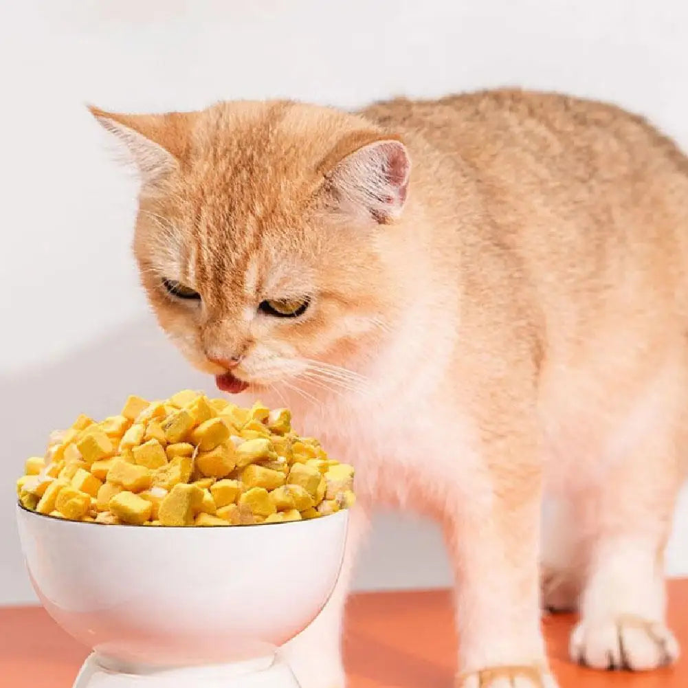 40g Freeze Dried Egg Yolk Granules Beautify Smoothing Cat Hair Cat Snacks Safe Freeze-dried Pet Food Healthy To Pets