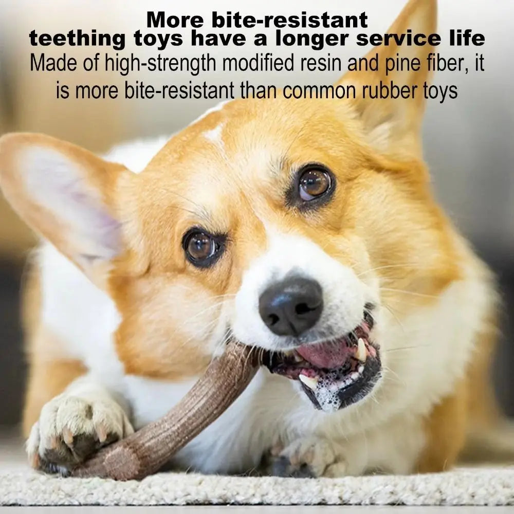 Real Wooden Deer Antlers Dog Chew Toys for Aggressive Chewers Large Dog Chewing Stick Indestructible Tough Durable Pet Toys Gift