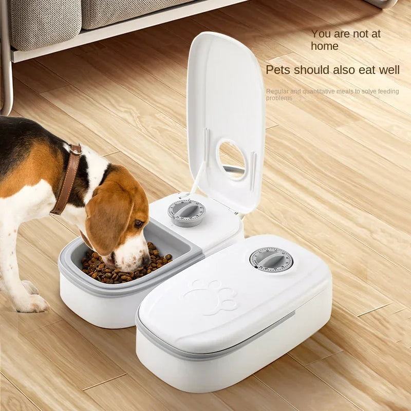 Dog Feeder Cat Automatic Feeding Water Bowl with Timer Pet Food Storage Dispenser  Container Pets Puppy Kitten Accessories