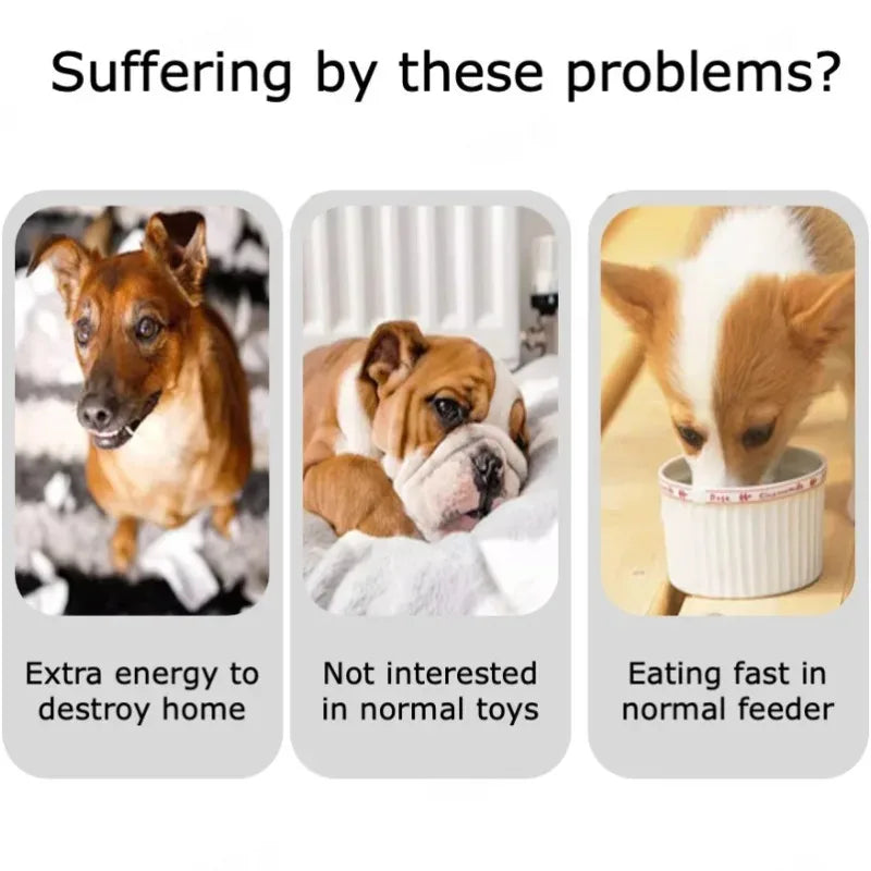 Snuffle Mat Dog Plush Toy For Carrot Field Nose Work Game Interesting Products Care Dogs Nose Training Pet Products Dog Stuff