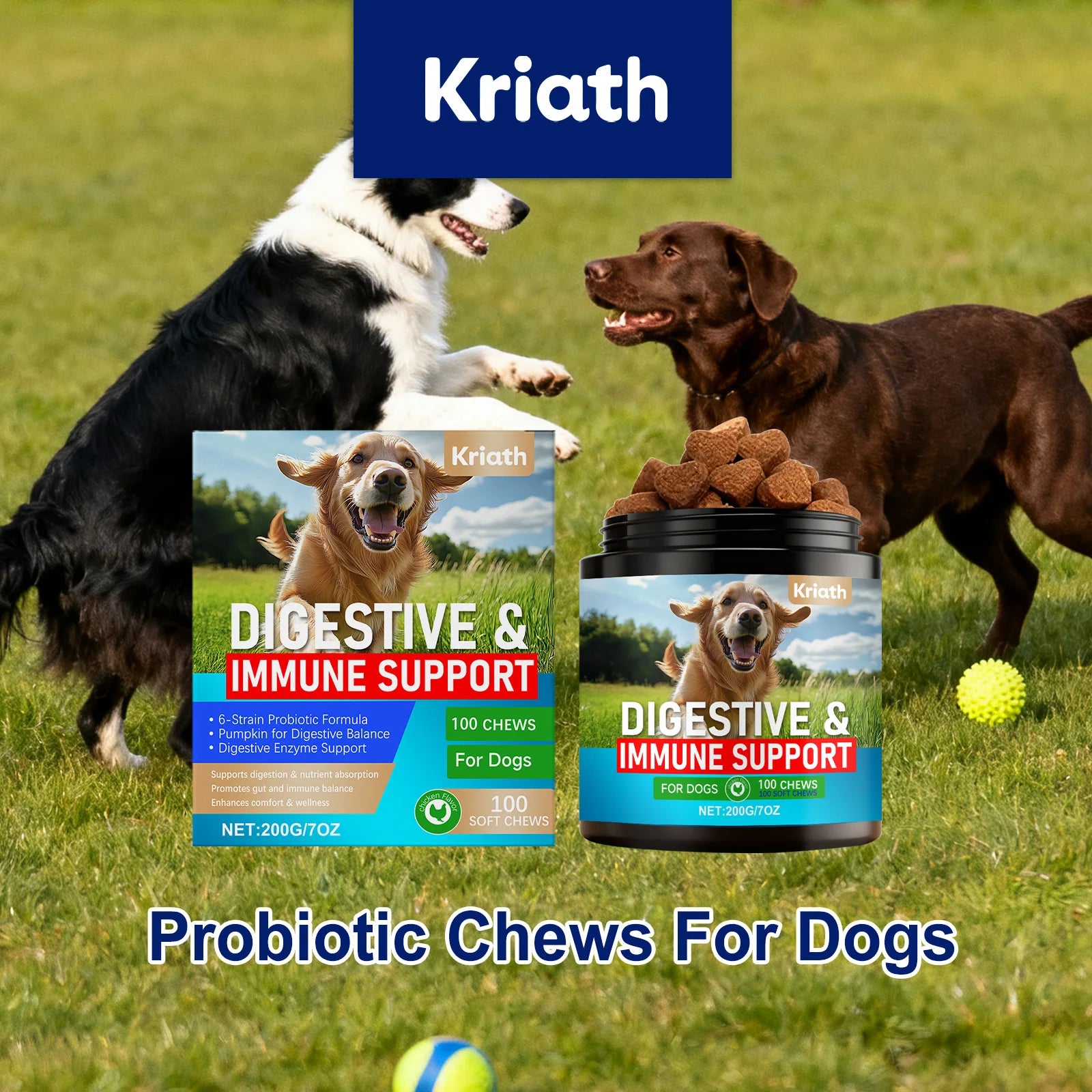 Dog Probiotic Soft Chews for Gut Health - Gentle Care Aids Smooth Digestion Nutrient Absorption Balances Flora Boosts Immunity