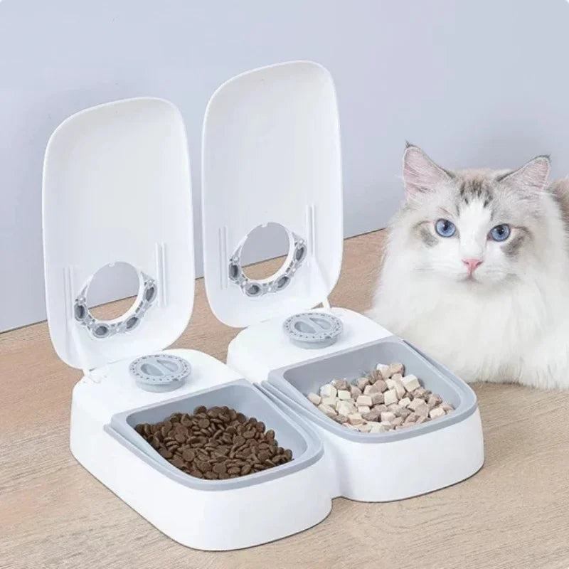 Dog Feeder Cat Automatic Feeding Water Bowl with Timer Pet Food Storage Dispenser  Container Pets Puppy Kitten Accessories